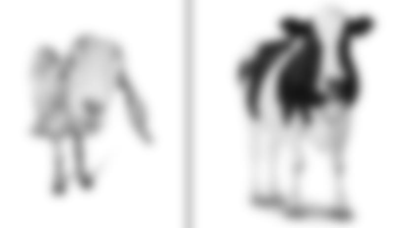 oxfam-goat-cow.jpg