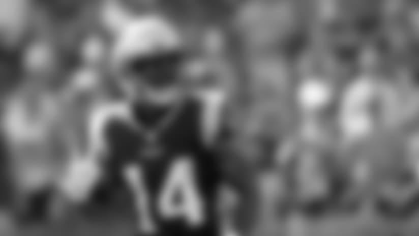 Players to Watch: Panthers vs. Patriots