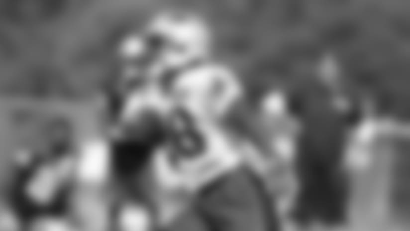 Training Camp Countdown: Running Backs