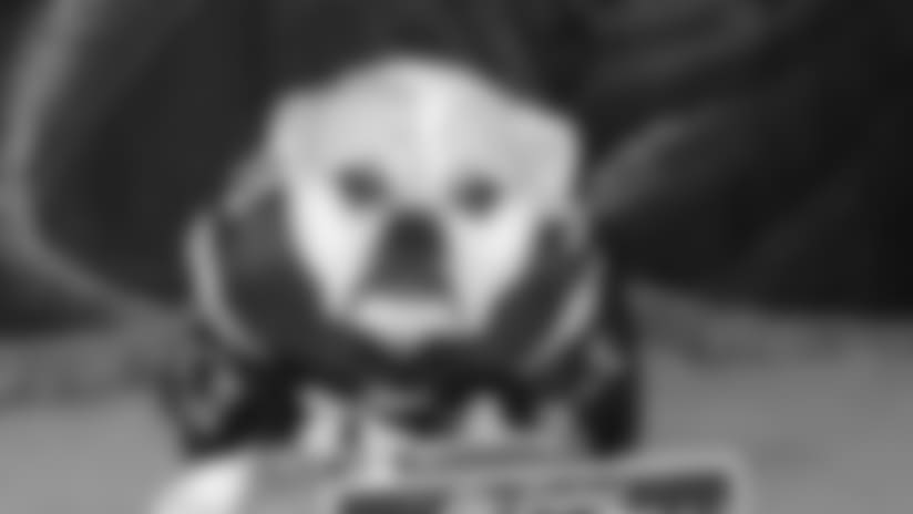 Patriots Pets