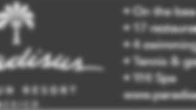 300x100_paradisus.jpg