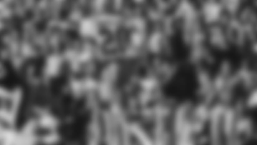 swann-sb-pitt-banks1000.jpg