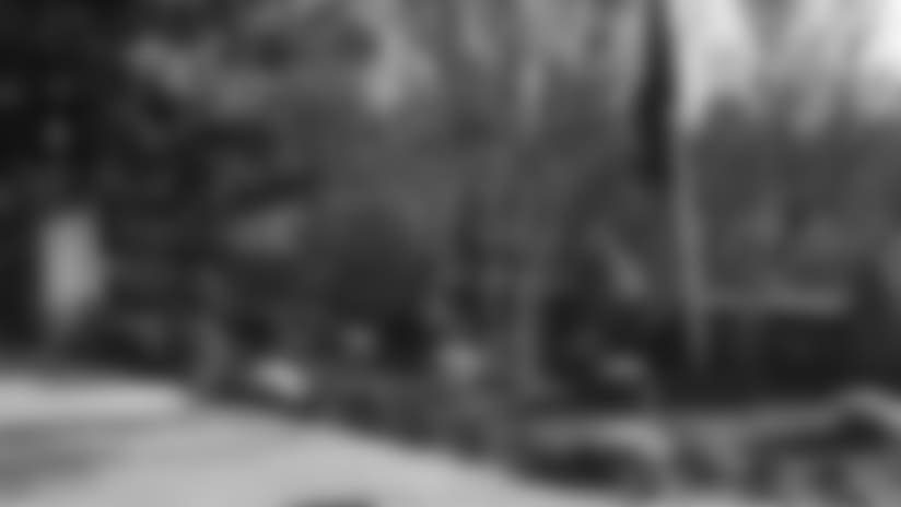 gate-w-pats-flag-603x323px.jpg