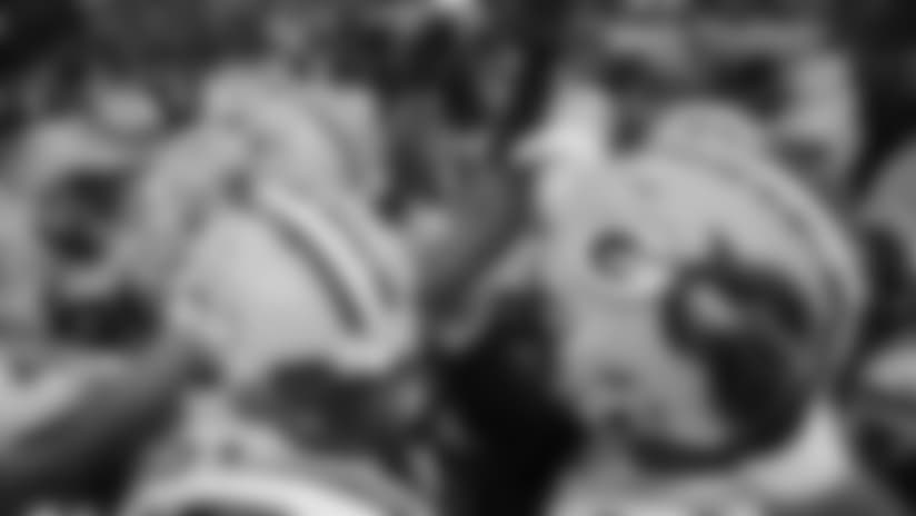 Vandermeer's View: Attacking the Pack