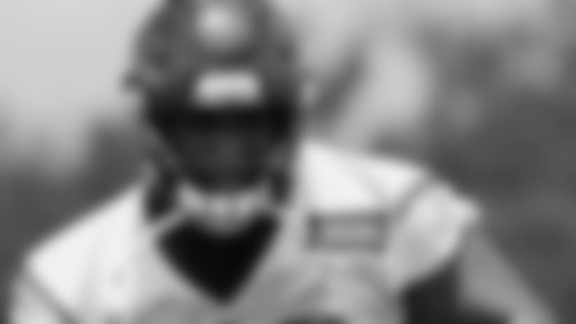Sights and Sounds: Veteran Minicamp