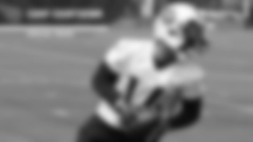 Breaking Down the Special Teams for Titans