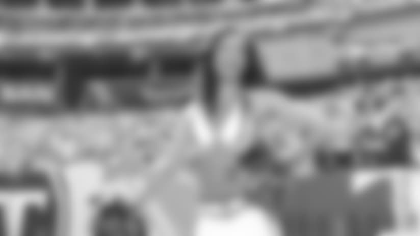 Titans Cheerleader Zephanie's 2017 Season