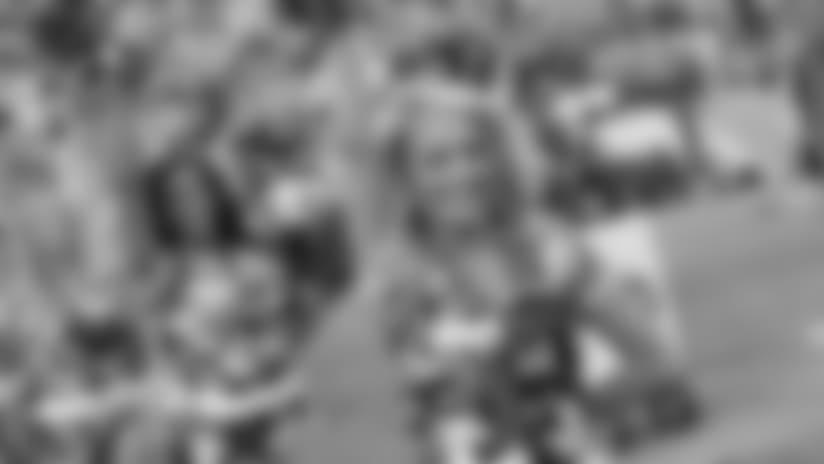 Titans Cheerleader Kellee's 2017 Season