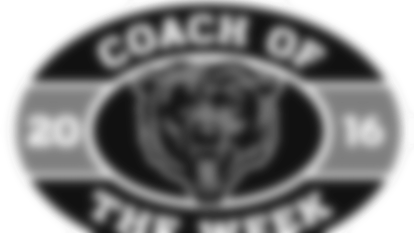 cow_16_bears-web.png
