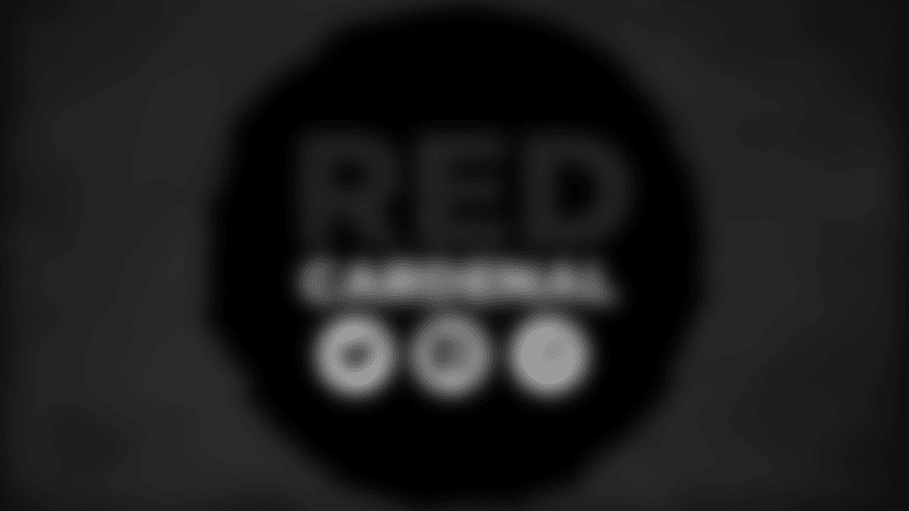 Red Cardenal- Semana 15
