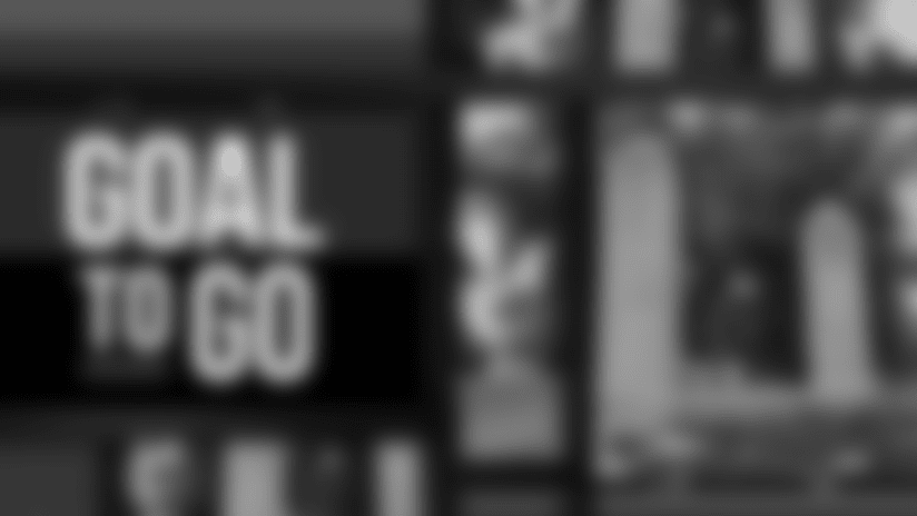 Goal To Go: Mike Quick