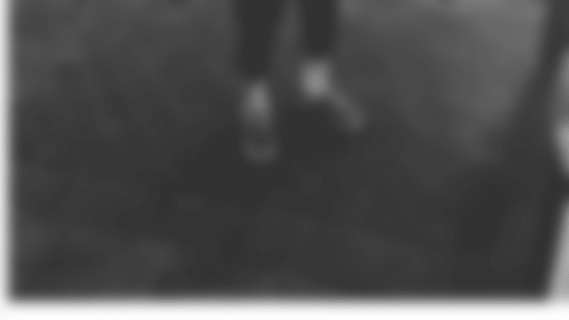 revis.PNG