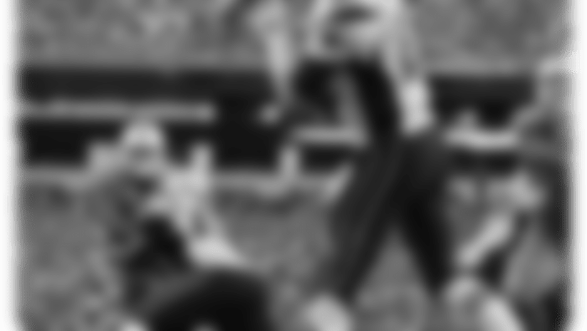 20160414-dolphins.png