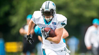 Panthers Release Unofficial 2017 Depth Chart