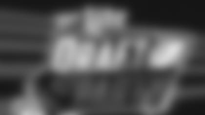 draft-party-logo-042417.jpg