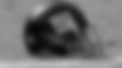 helmet-new-11217.jpg