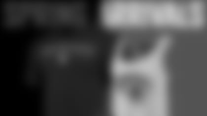 1024x770_Spring_JAGS