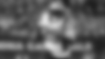 1000x380_2016_legarrette_blount_white_2.jpg