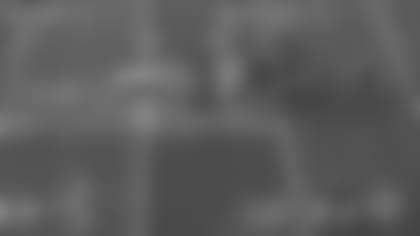 all22-view-tt.jpg