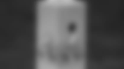 ap_pylon_cam.jpg