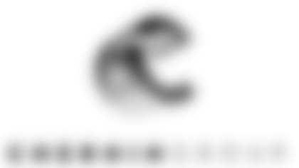 the_chernin_group_logo.jpg