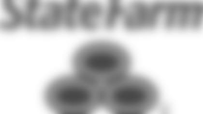 state-farm-logo.jpg