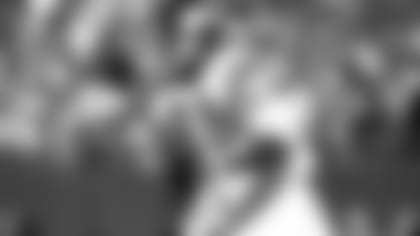 hall-of-famer-top-alan-page