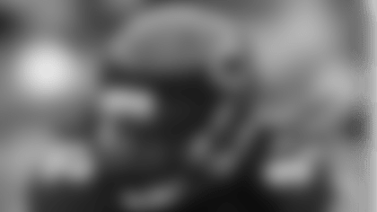 mcphee_ptw_2016.png