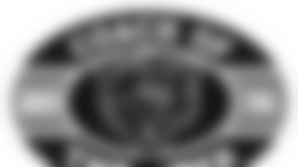 cow_16_bears-web.png
