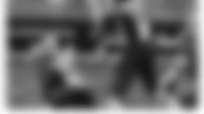 20160414-dolphins.png