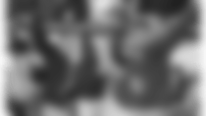 20160414-ravens.png