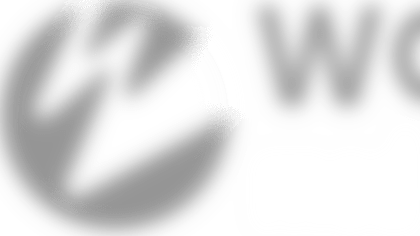 tt13118_3.png