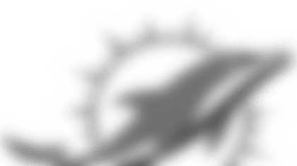 dol_mark_1_web.png