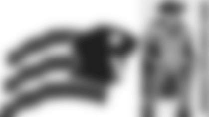 proposed-logo.png