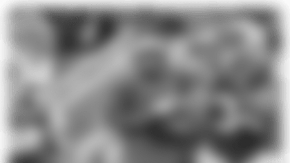 20160414-browns.png