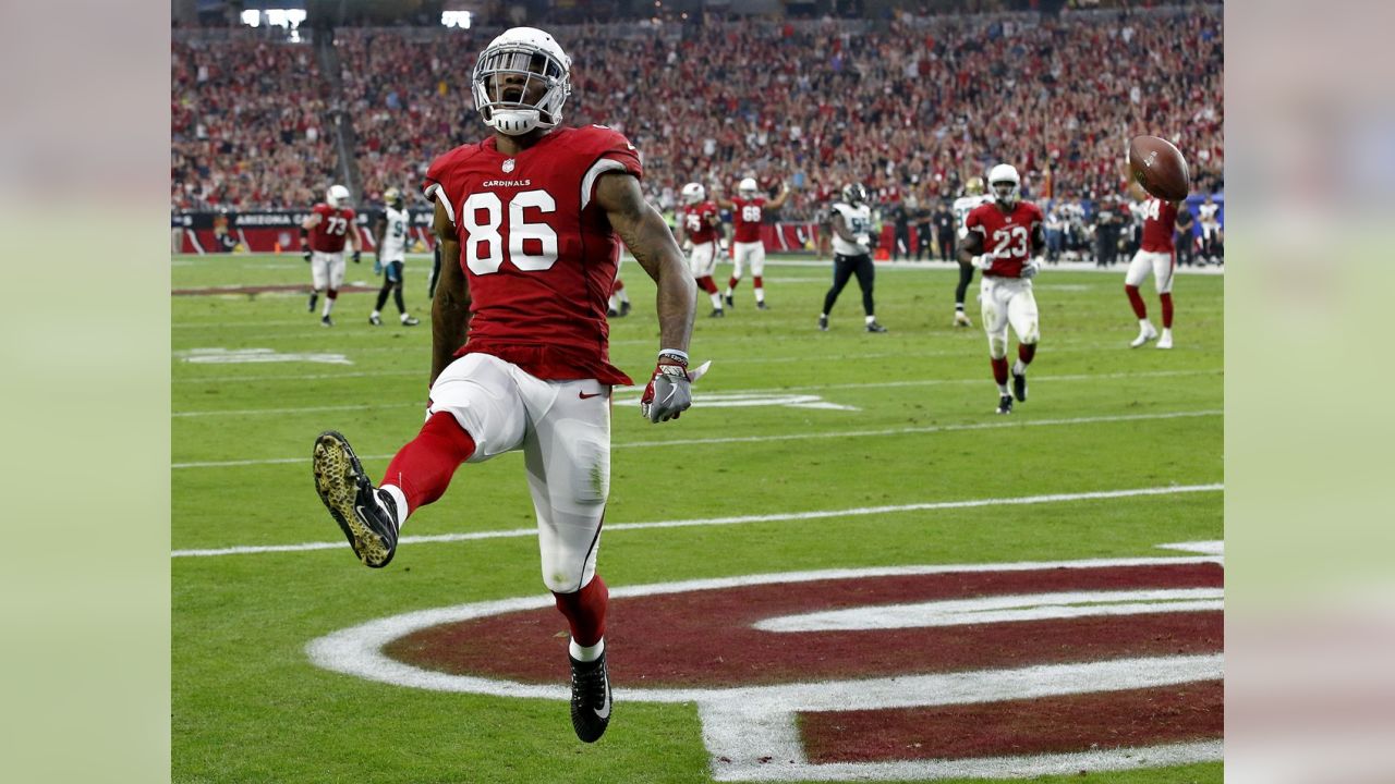 TE Ricky Seals-Jones celebrates a touchdown