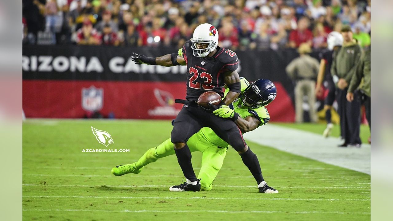 RB Adrian Peterson: 129 carries, 448 yards, 2 TD