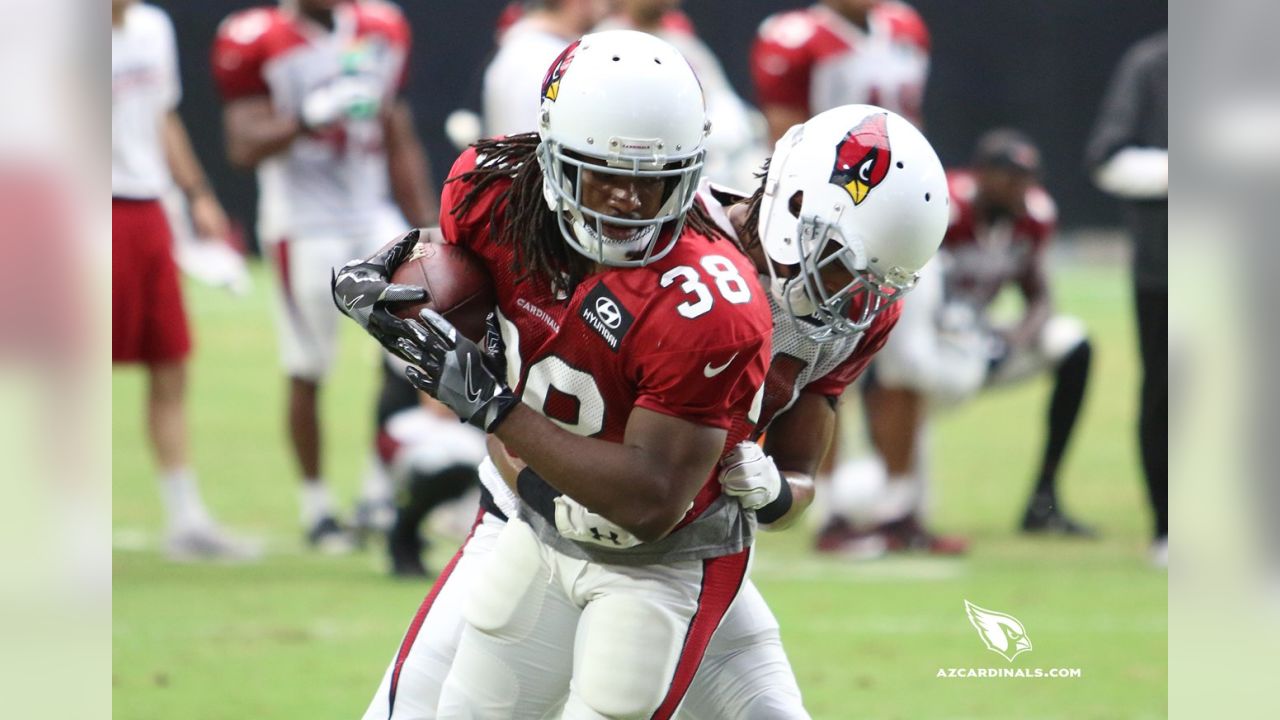 RB Andre Ellington is wrapped up by S Harlan Miller