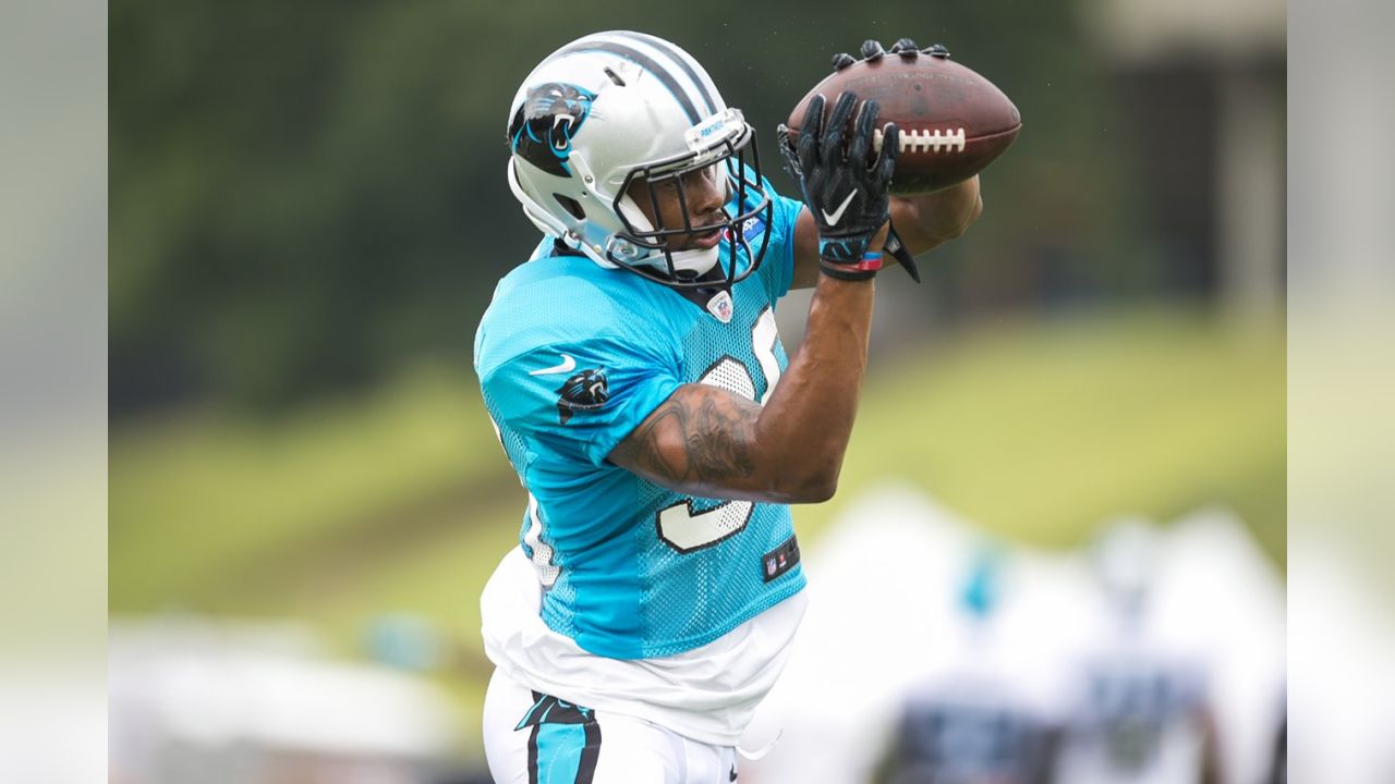 Panthers Release Unofficial 2017 Depth Chart