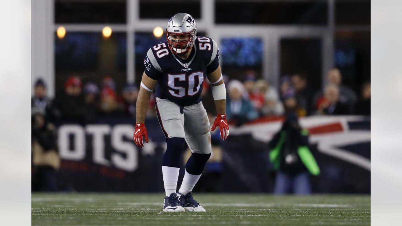 Rob Ninkovich: Ranking the Highlights of Our Super Bowl Star