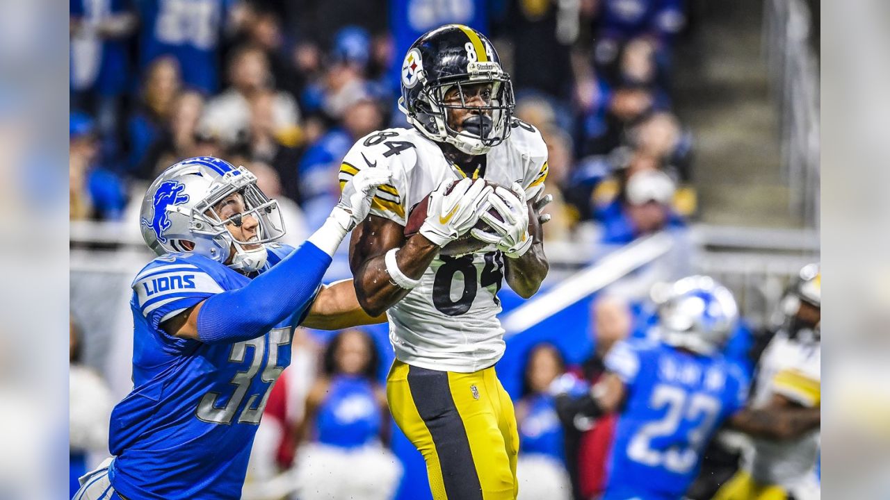 Atlanta Falcons vs Detroit Lions Wide receiver Trinity Benson (17) of the  Detroit Lions carries the