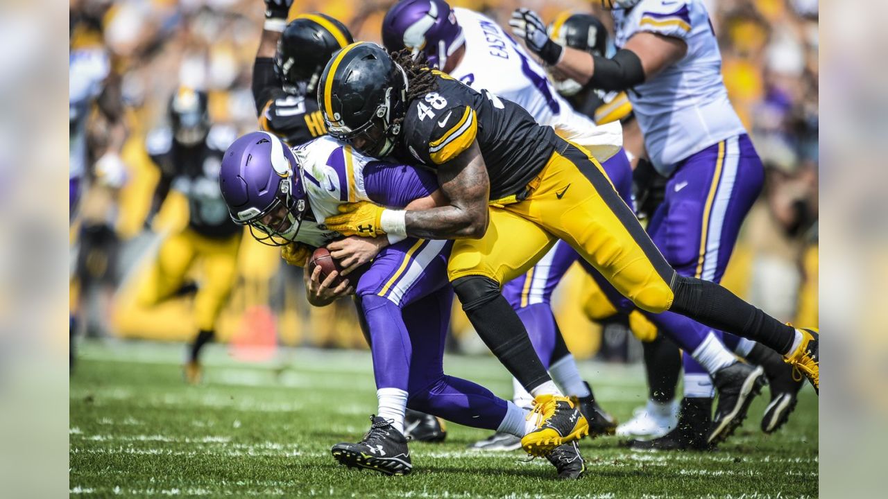 Five things to know about the Minnesota Vikings, the Steelers