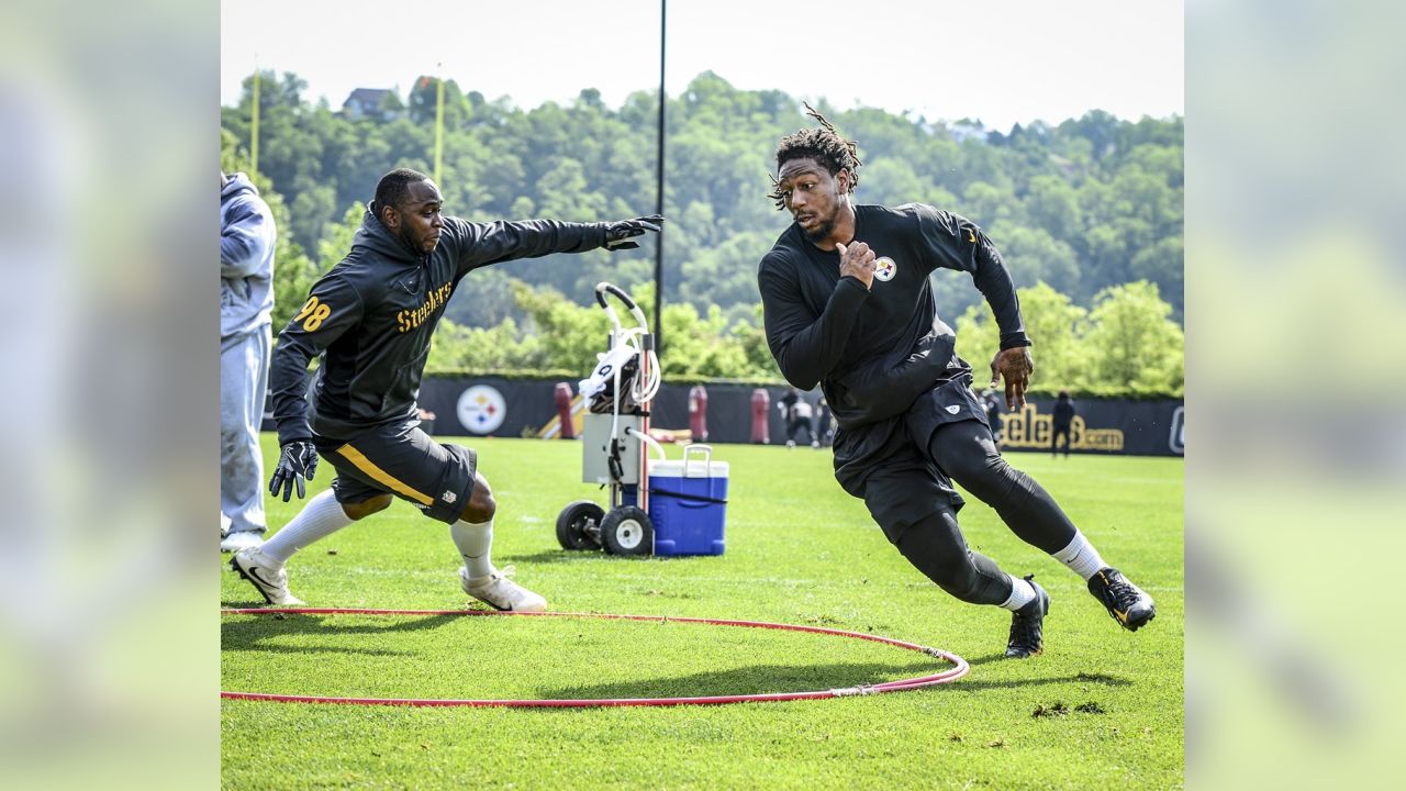 Bud Dupree and Vince Williams