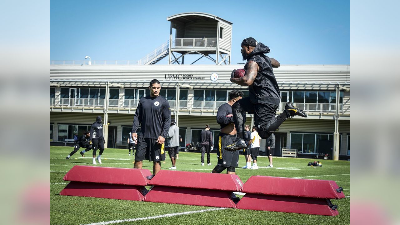 Fitzgerald Toussaint and James Conner