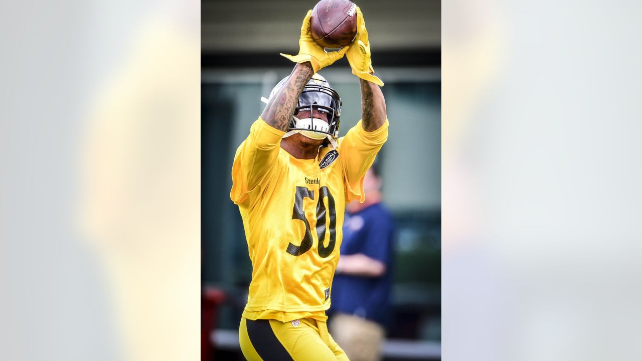 Vince Williams wears Ryan Shazier's jersey in practice