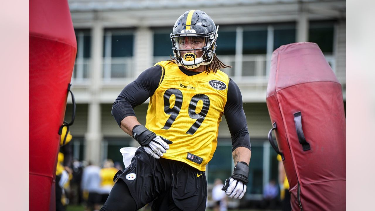 Vince Williams wears Ryan Shazier's jersey in practice