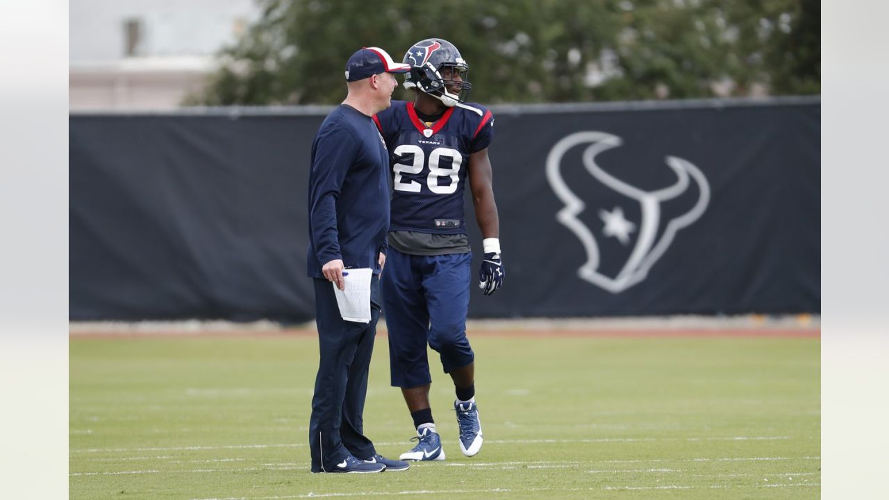 Texans have Vince Wilfork replacement ready in 'younger brother