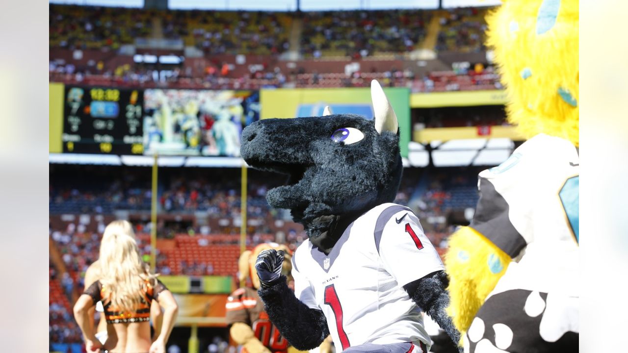 TORO wins Best Stunt award at NFL Mascot Summit