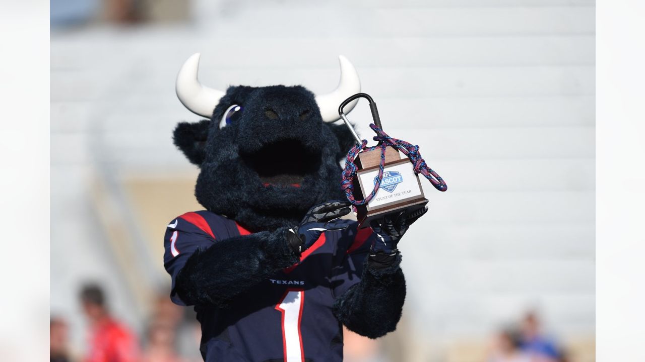 TORO  Mascot Hall of Fame