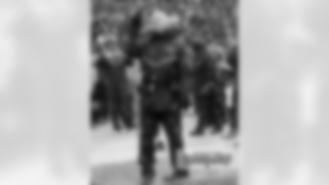 Head Coach John Fox